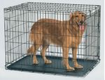 Life-Stages-Fold---Carry-Pet-Home--Crate-