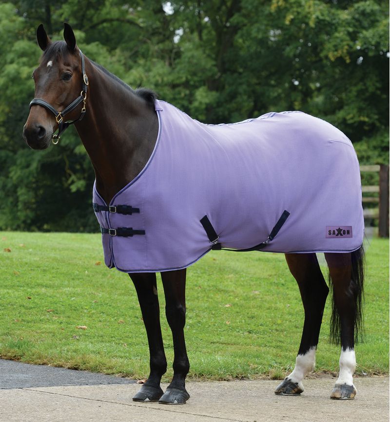 Saxon Element Polar Fleece Horse Cooler, Purple/Navy Trim Jeffers
