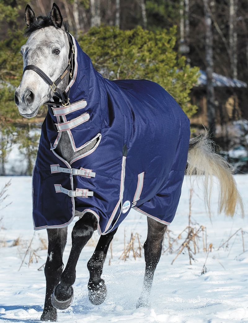 WeatherBeeta ComFITec Essential Combo Neck Heavy Horse Blanket Jeffers