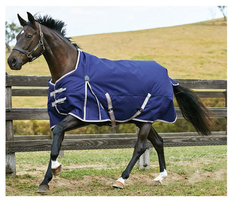 WeatherBeeta ComFiTec Essential Standard Neck Horse Blanket Jeffers