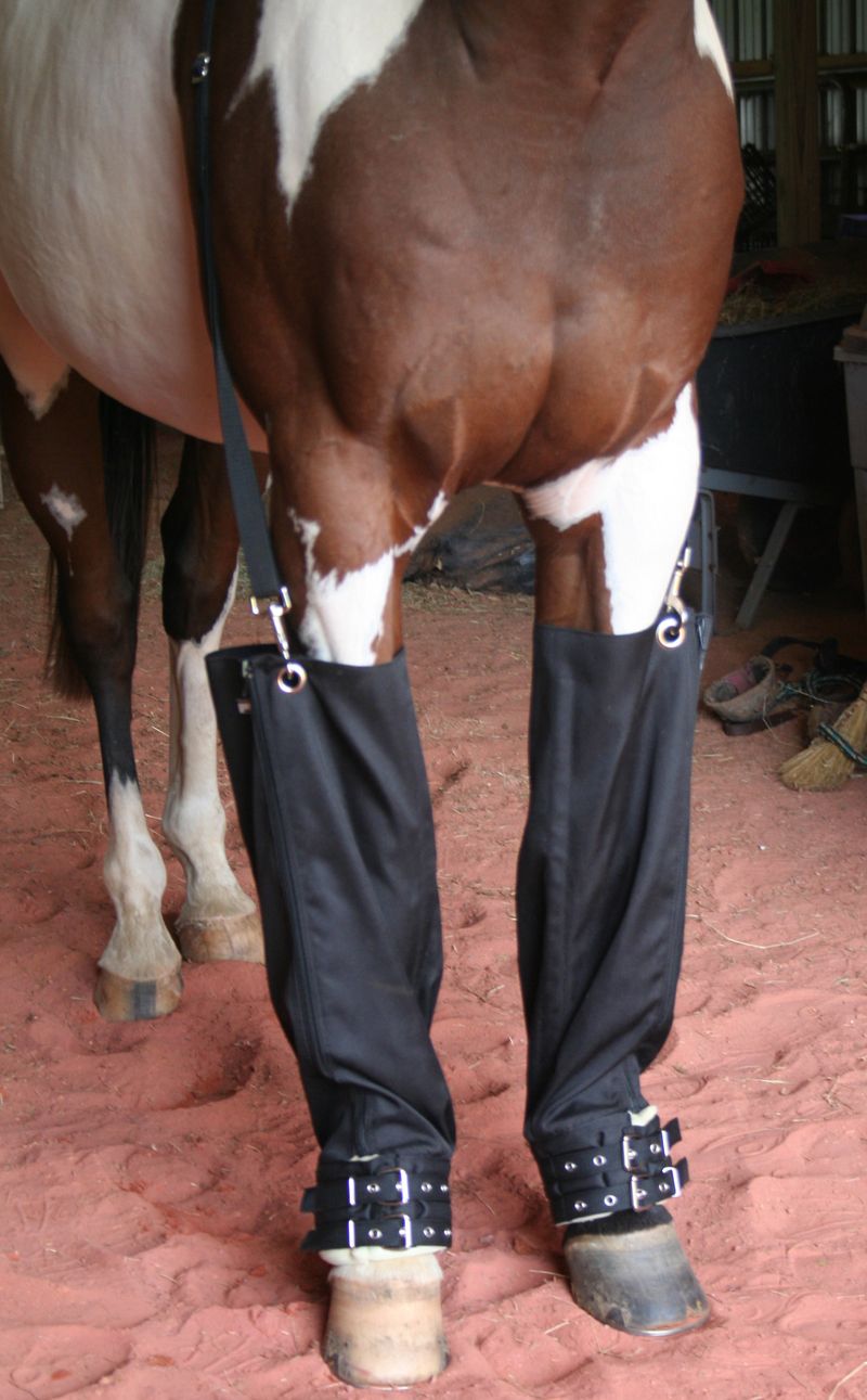 Cold boots deals for horses