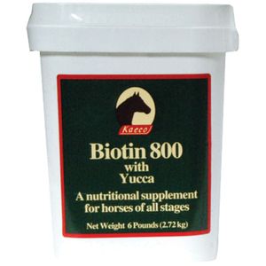 Biotin 800 Powder with Yucca