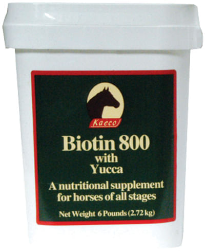 Biotin-800-Powder-with-Yucca