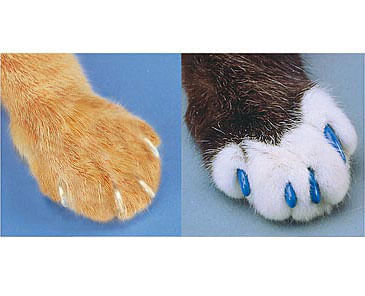 The-Original-Soft-Paws---Nail-Cap-Kit-for-Cats