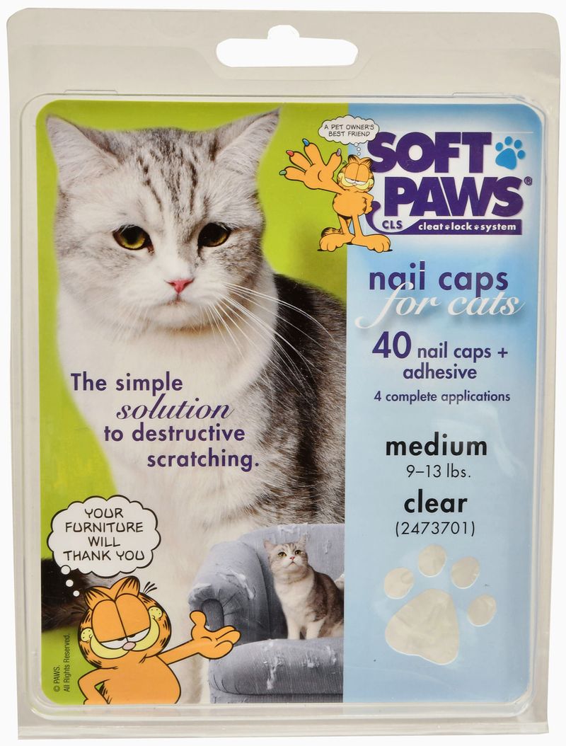 Cat Nail Caps: Why Use Them and How to Apply Them