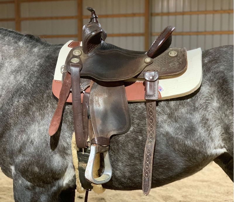 Navy blue western online saddle pad