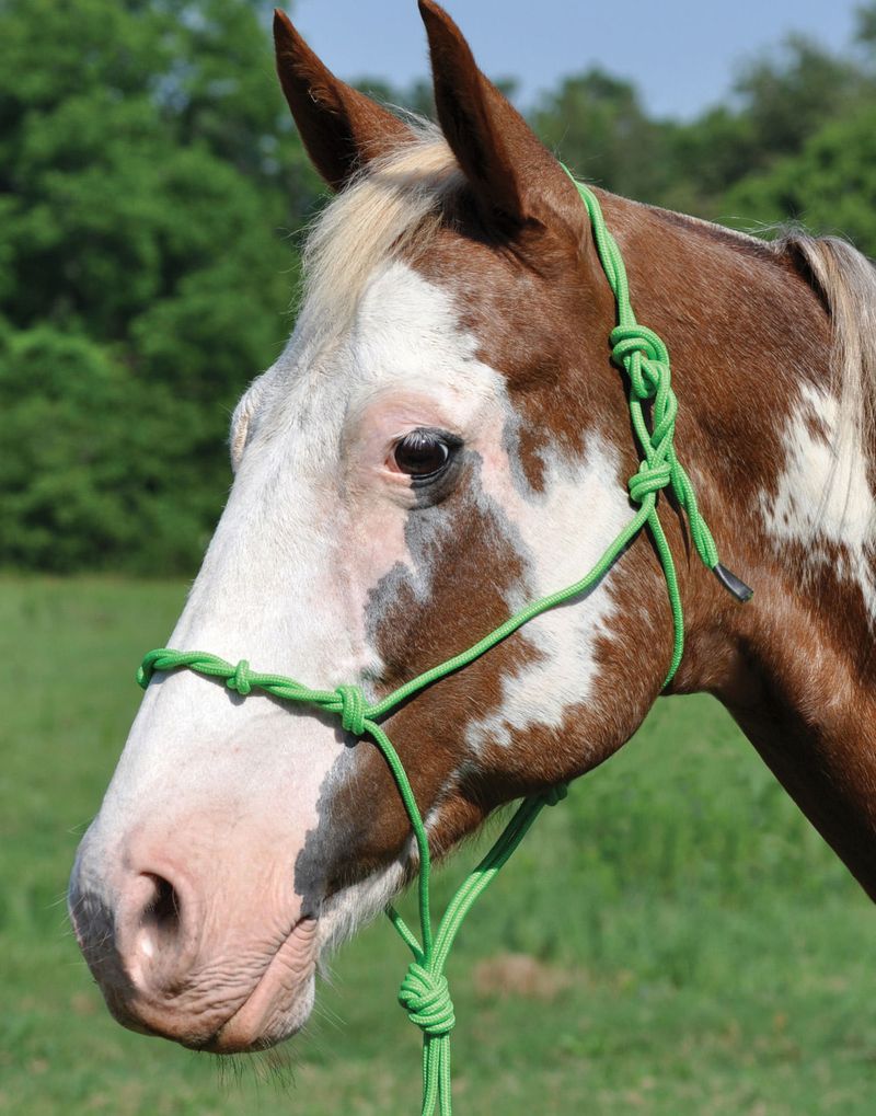 Twisted Poly Rope Horse Halter from Mustang Mfg. Jeffers