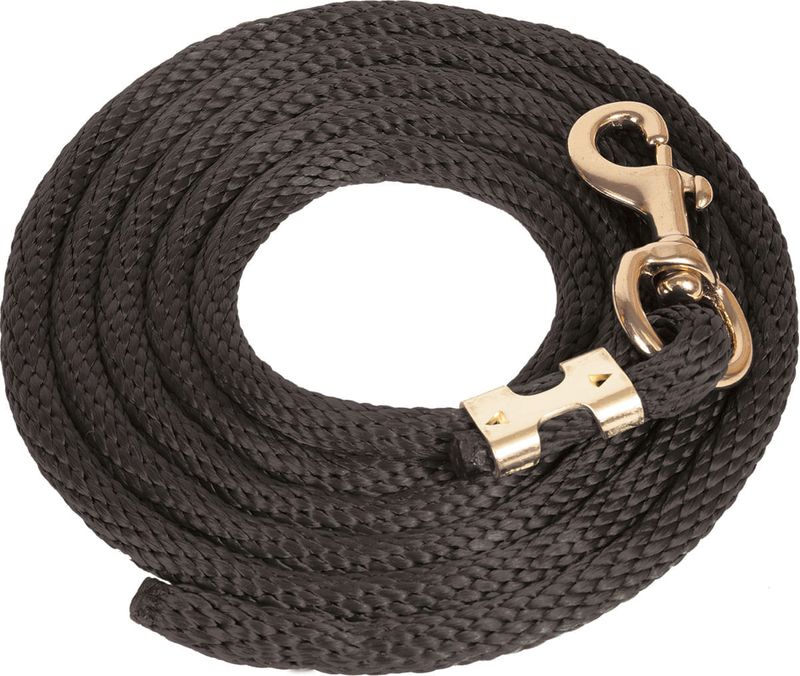 Solid-Poly-Lead-Rope-Bolt-Snap