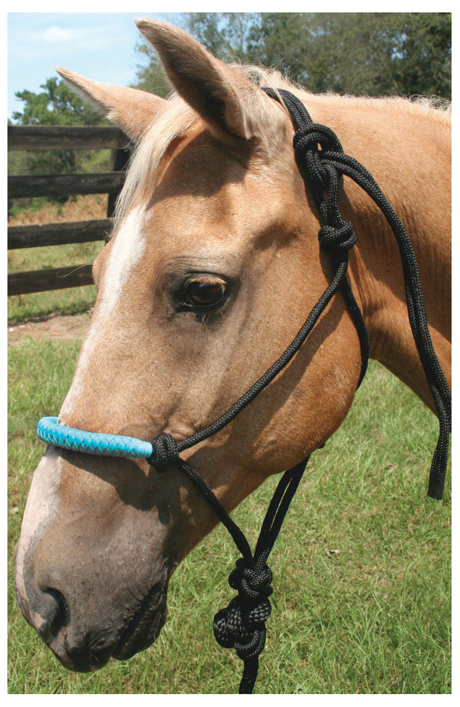 Solid Nose Poly Rope Halter w/ 7' Detachable Lead - Jeffers