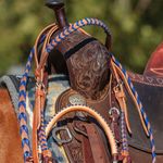 Classic-Equine-Laced-Browband-Headstall