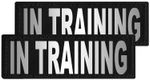 Reflective--In-Training--Patches-Set-of-2