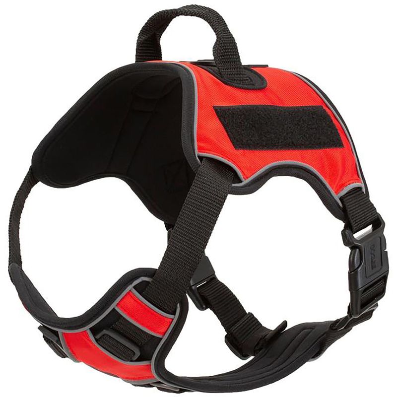 Quest-Multi-Purpose-Harness-XSmall