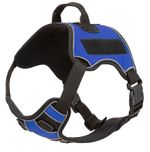 Quest-Multi-Purpose-Harness-Medium