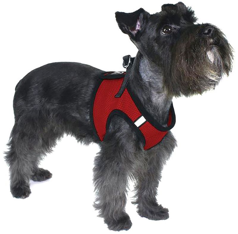 Boston-Mesh-Dog-Harness-X-Small