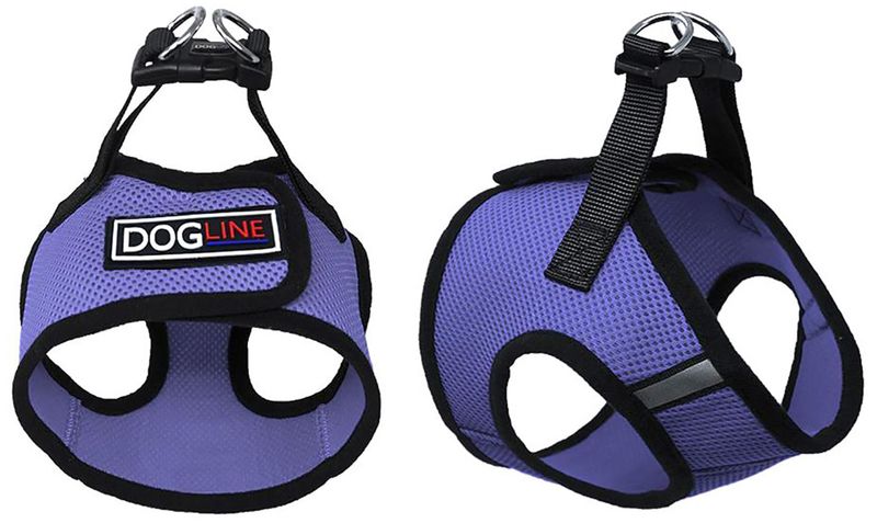 Boston-Mesh-Dog-Harness-Large