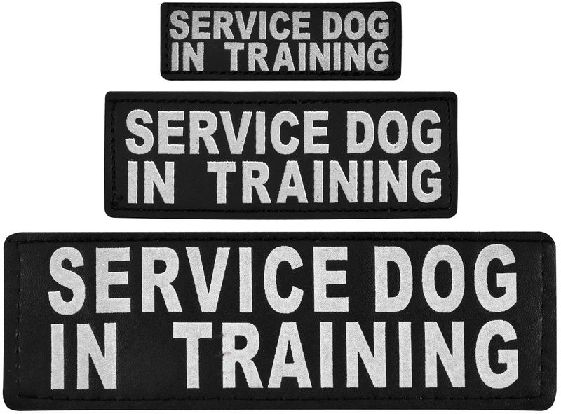 Reflective--Service-Dog-In-Training--Patches-set-of-2