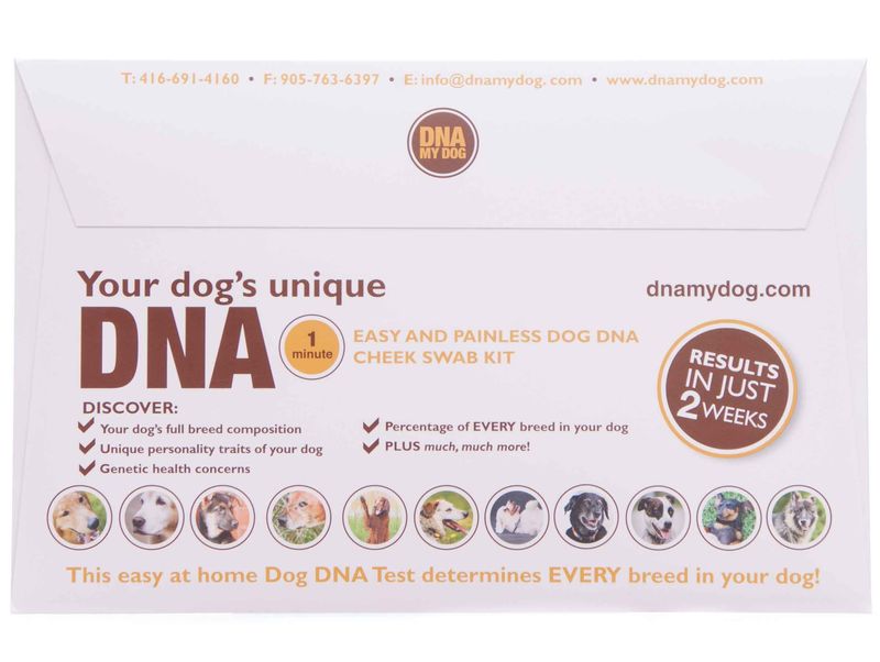 DNA My Dog DNA Test Kit DNA Test for Dogs Jeffers