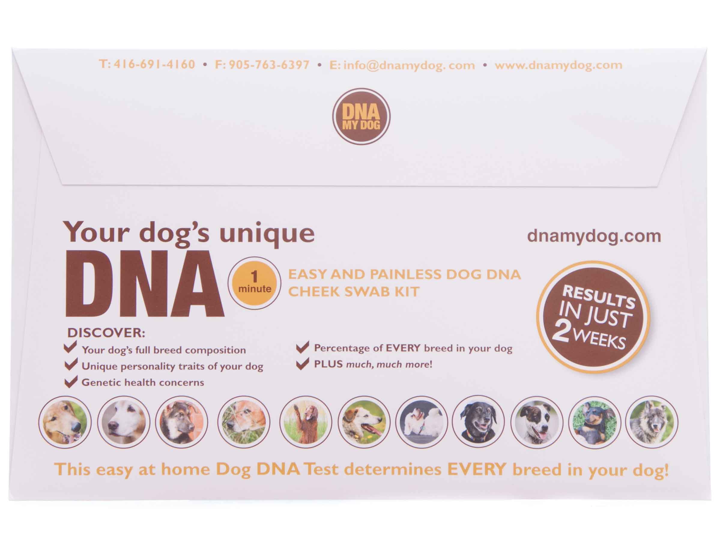 dna-my-dog-dna-test-kit-dna-test-for-dogs-jeffers