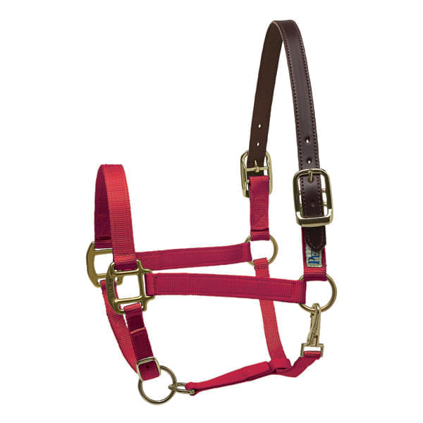 Perri's Breakaway Adjustable Horse Halter, Cob Size Jeffers
