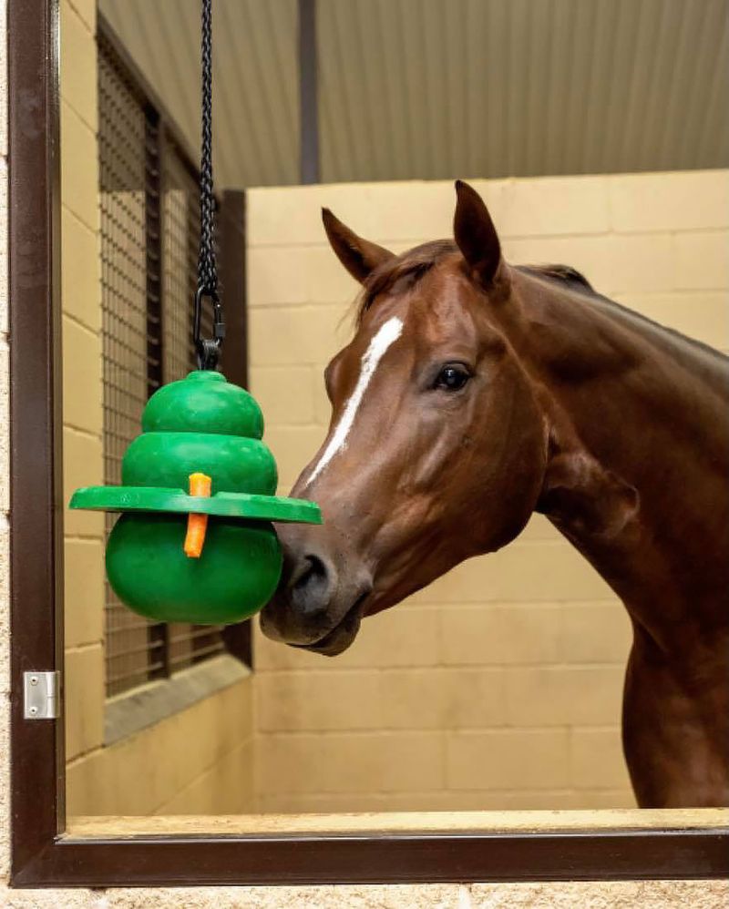 KONG Equine Hanging Toy Kit with Treat Ring