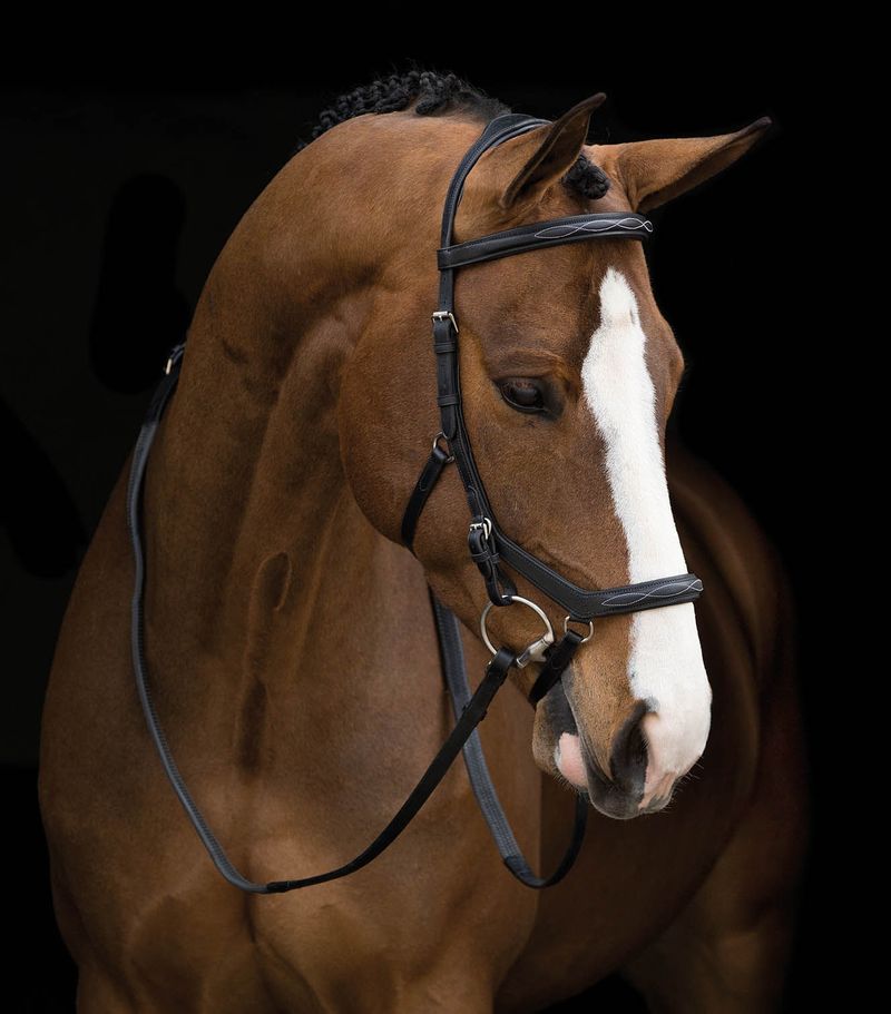 Rambo-Micklem-Deluxe-Competition-Bridle-Black