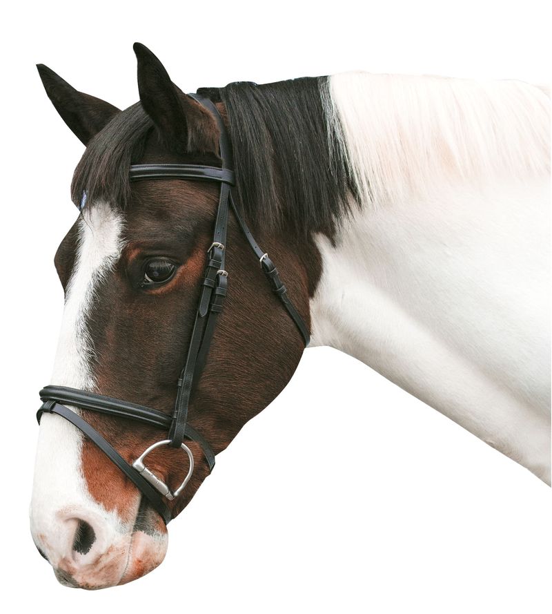 Loveson-Horse-Bridle