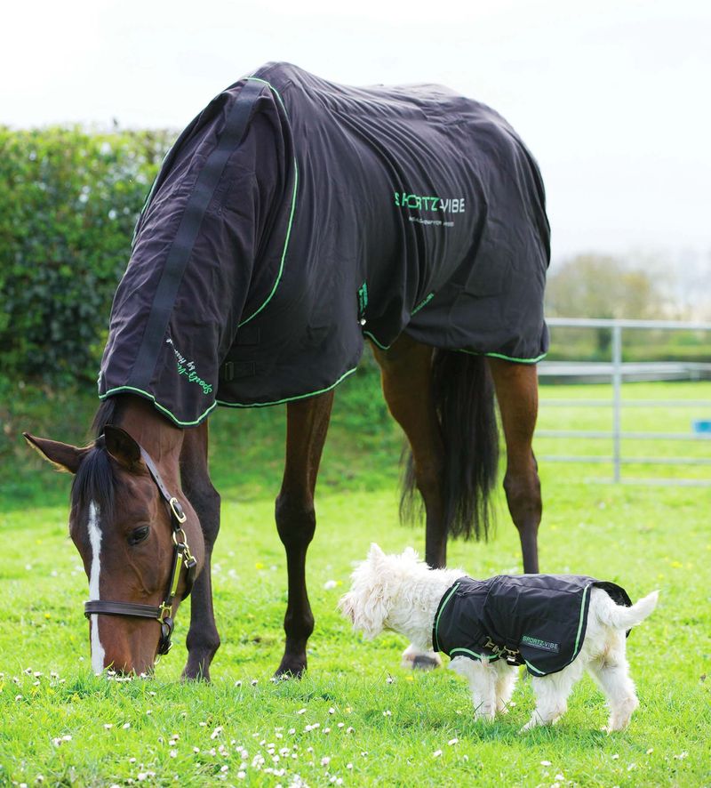 SportzVibe Massage Therapy Blanket for Horses Jeffers