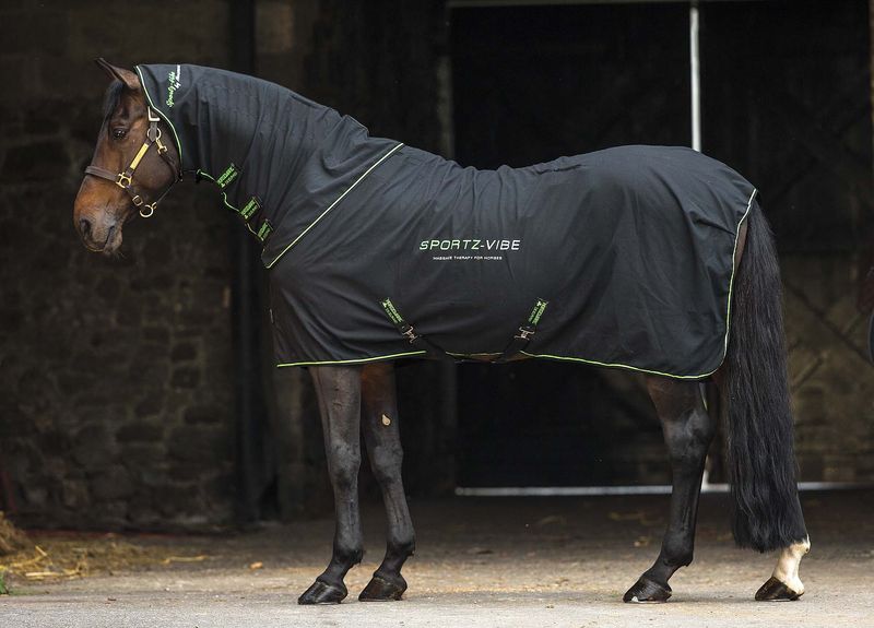 SportzVibe Massage Therapy Blanket for Horses Jeffers