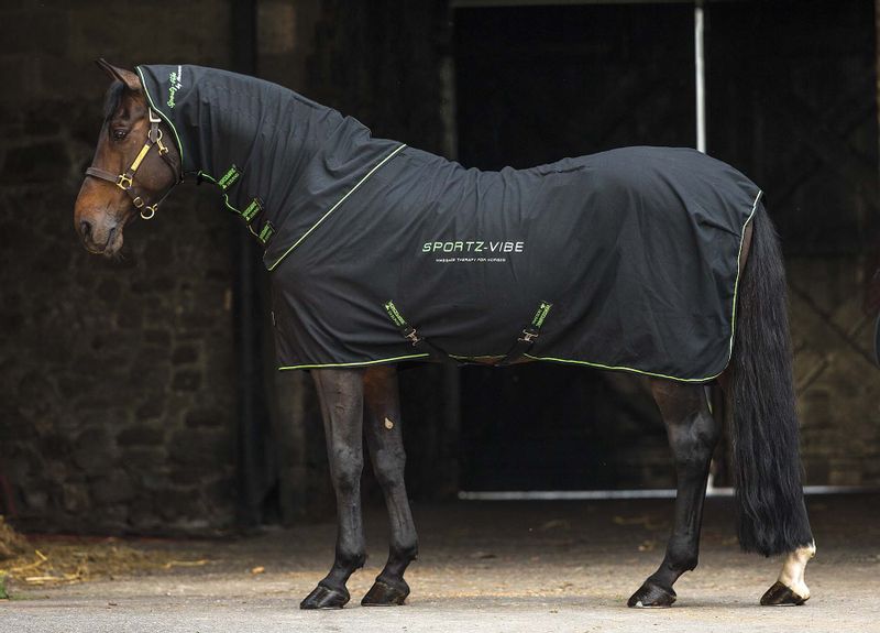 Sportz-Vibe-Massage-Therapy-Blanket-for-Horses