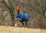 Rambo-1000D-Original-with-Leg-Arches-Horse-Blanket-100g