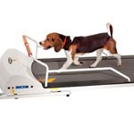 PetRun-Small-Medium-Breed-Treadmill--PR720F-