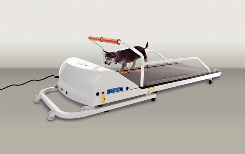 GoPet PetRun Small Breed Dog Treadmill Jeffers