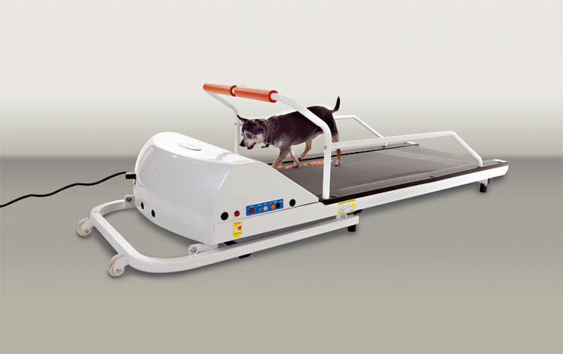 GoPet PR700 PetRun Dog Treadmill