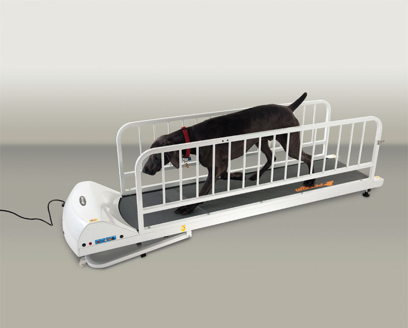 PetRun-Large-Breed-Treadmill--PR725-