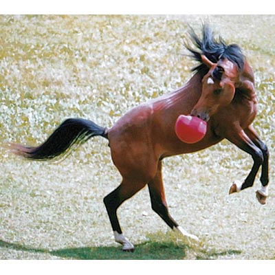 Horsemens 10 Jolly Ball Horse Toy 