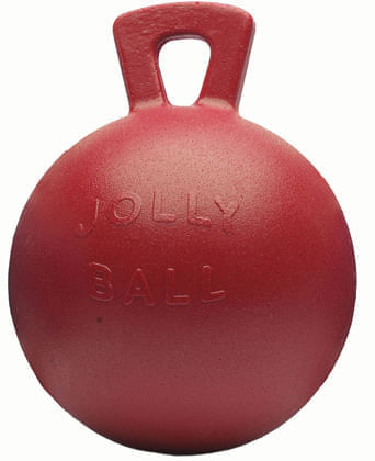 Original Jolly Ball Horse Toy Jeffers