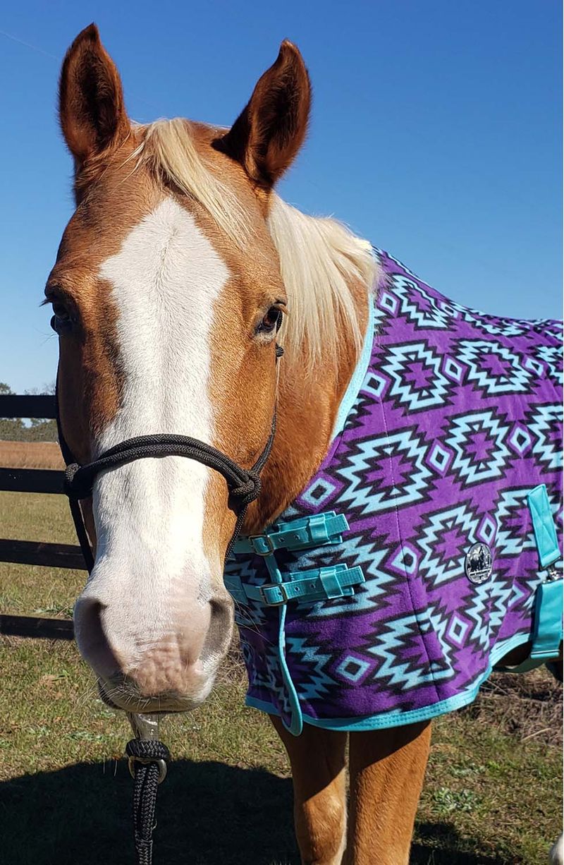 Jeffers best sale horse blankets