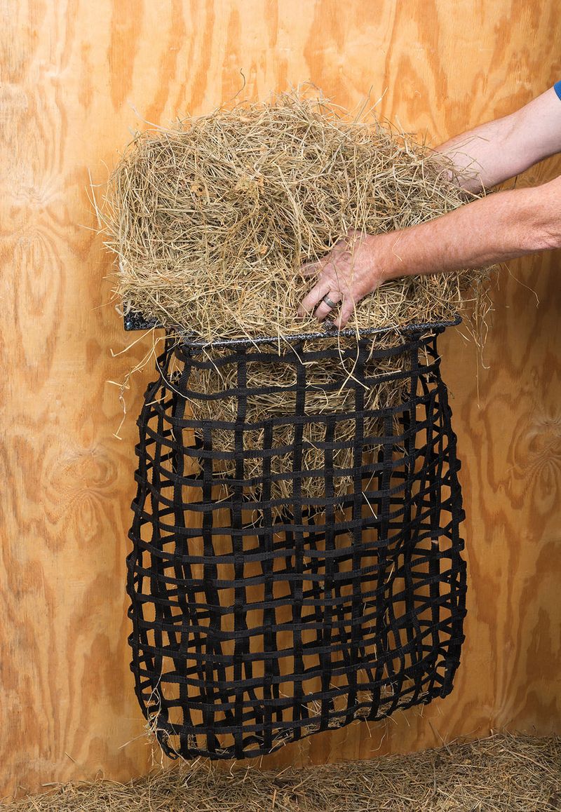 Hay-Hoop-with-Web-Net