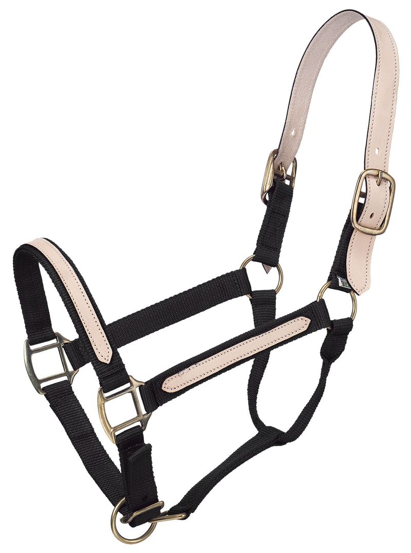 Leather Overlay Breakaway Horse Halter Jeffers