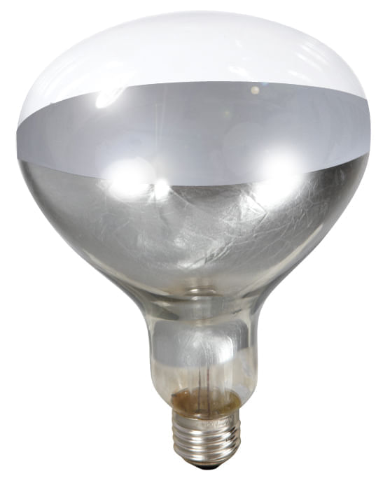 Hog Slat® Smooth Heat Lamp Bulbs
