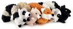 9--Cur-Tails-from-Multipet-Assorted-