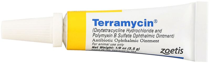 Terramycin-Eye-Ointment-1-8-oz
