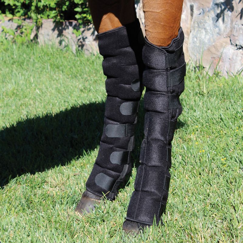 Ice hock outlet boots for horses