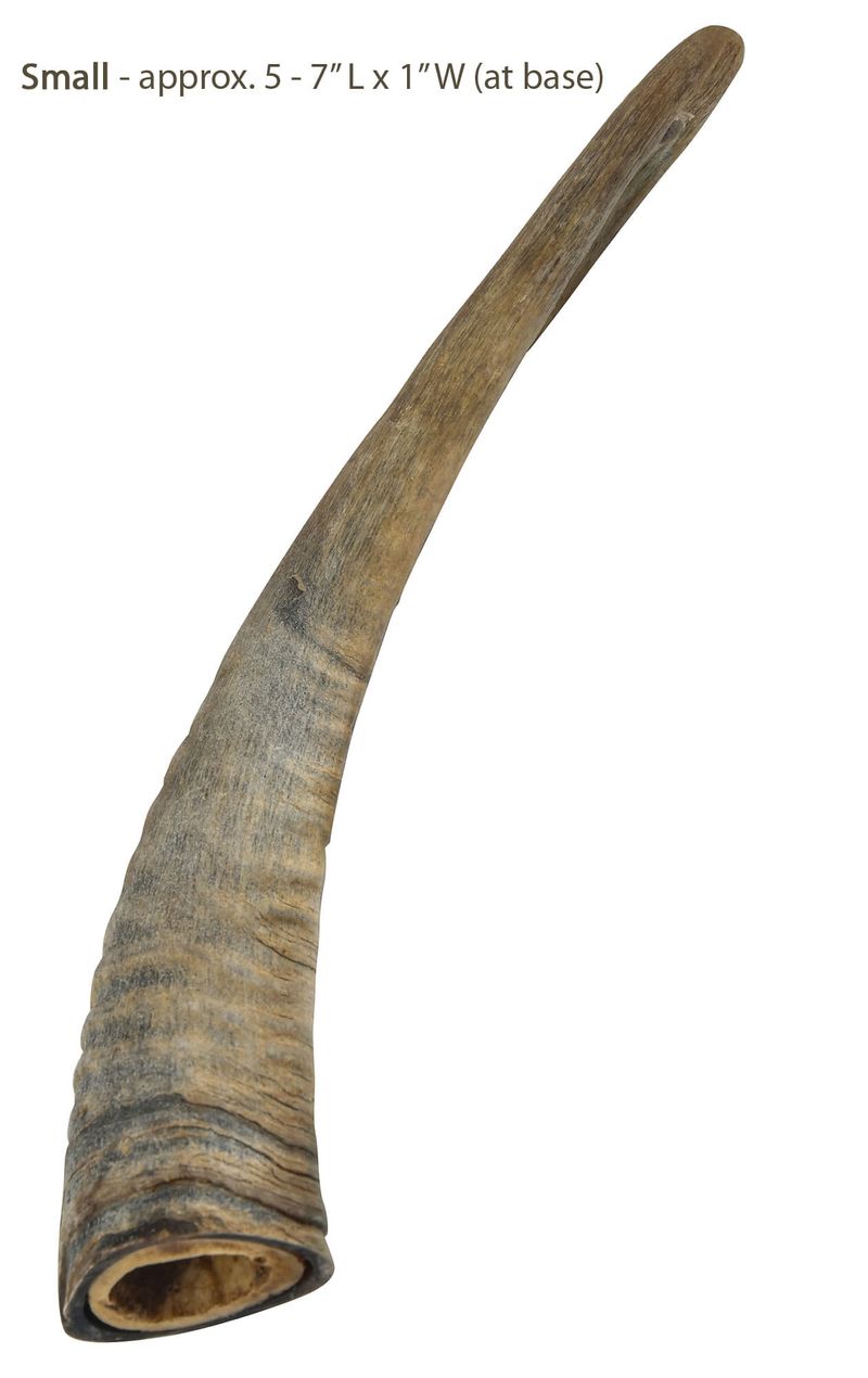 Gobi-Goat-Horn-Natural-Dog-Chew