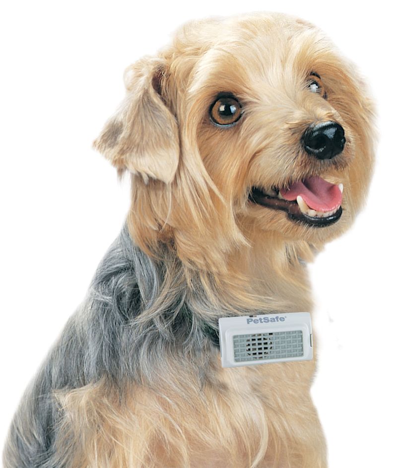 Ultrasonic bark outlet collar