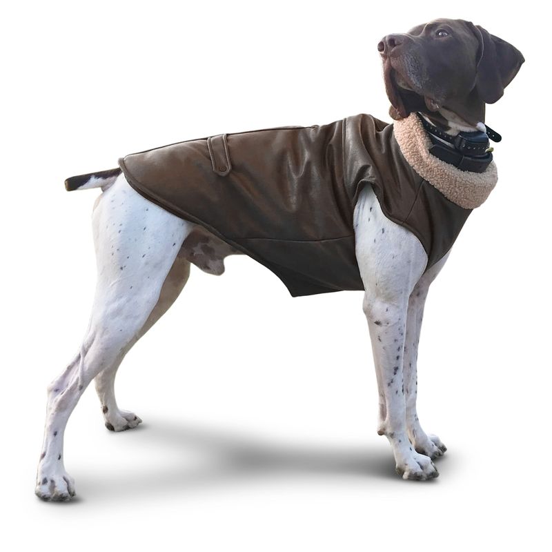 Bomber Jacket For Dogs
 Bomber Dog Jacket by Fashion Pet Jeffers