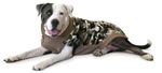 Camouflage-Dog-Sweater