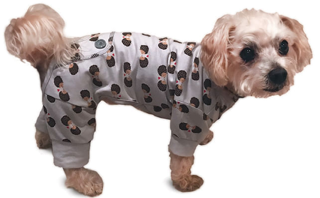 Light-Gray-Hedgehog-Dog-Pajamas