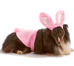 Bunny-Dog-Halloween-Costume