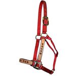 Personalized-Halters-for-Horses-Standard--800-1100-lb-